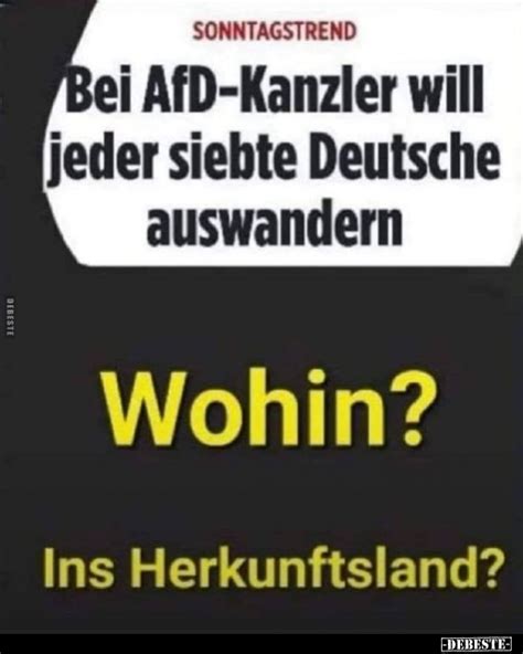 Bei Afd Kanzler Will Jeder Siebte Deutsche Auswandern Wohin Ins