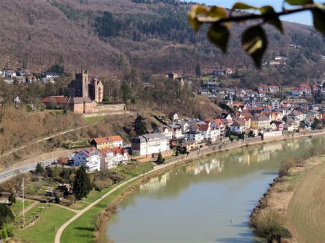 Neckar Sup Tour Eisvogel Tour Auf Dem Neckar Supscout Art Hotel