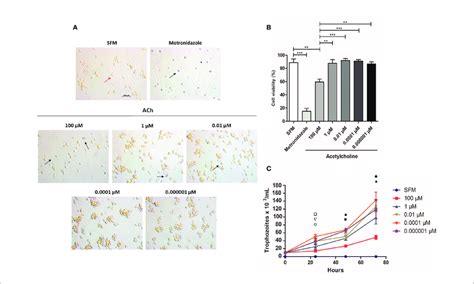 Viability Of E Histolytica Trophozoites Using Trypan Blue Dye Download Scientific Diagram