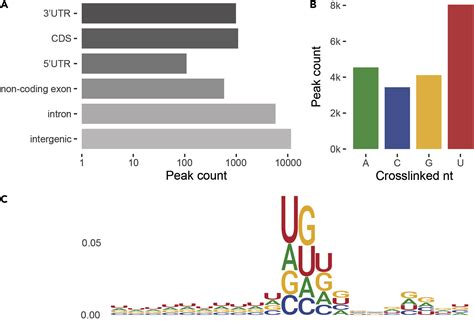 Cell Press STAR Protocols