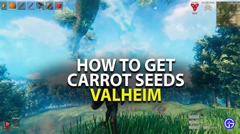 Carrot seeds valheim