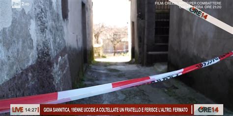 Ore 14 2023 24 Gioia Sannitica 19enne Uccide A Coltellate Un