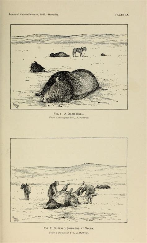 How Yellowstone Was Saved By A Teddy Roosevelt Dinner Party And A Fake