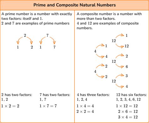 Natural Numbers Elementary Math Steps Examples And Questions