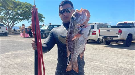 Spearfishing Hawaii Shooting Uku And Mu Youtube