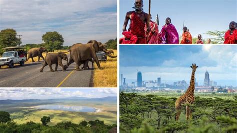 Kenya Or Tanzania Which Safari Destination Is Right For You Kimkim