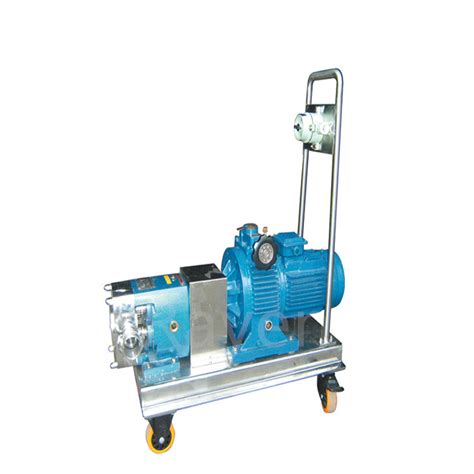 Sanitary Food Grade Stainless Steel High Viscosity Transfer Pump Rotary