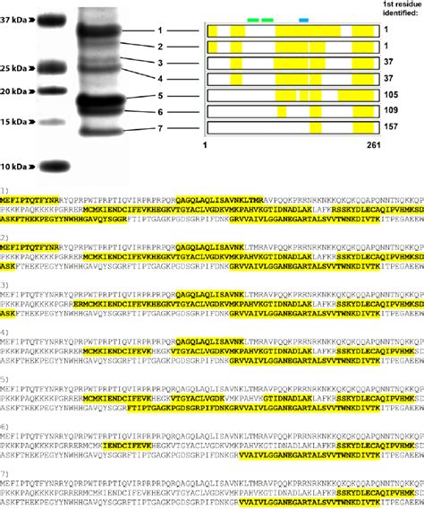 Coverage Of The Chikv Capsid Protein By Peptides Identified Via Mass