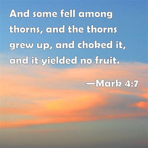 Mark 4 7 And Some Fell Among Thorns And The Thorns Grew Up And Choked