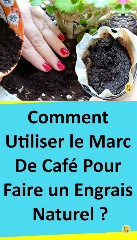 Le Marc de Café Un Engrais Naturel Pour les Plantes Здоровое питание