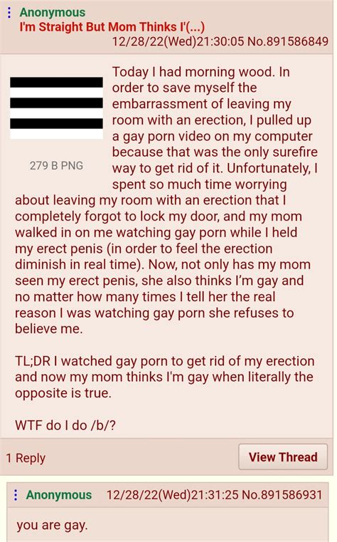 Anon Becomes Gay Rgreentext Greentext Stories Know Your Meme