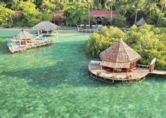 12 Best Raja Ampat Dive Resorts - Bluewater Dive Travel