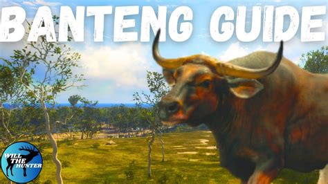 Emerald Coast Banteng Zone Guide TheHunter Call Of The Wild 2023 YouTube