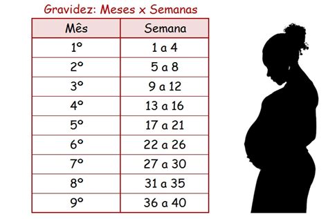 Tabela De Meses E Semanas Da Gestação Clube Materno