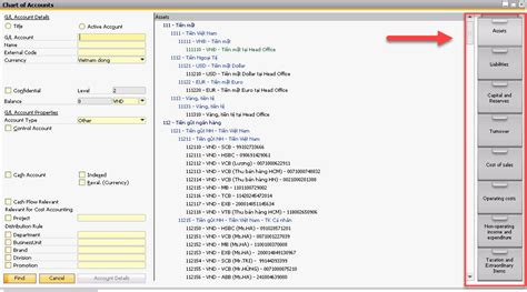 How To Define Chart Of Accounts In Sap A Visual Reference Of Charts