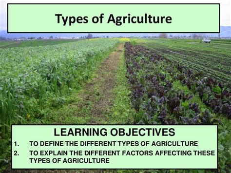 Types Of Farming Methods