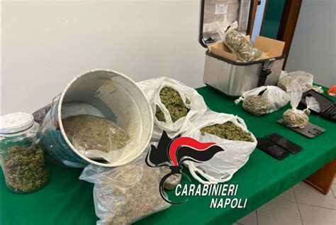 Blitz Antidroga Dei Carabinieri Arresti Nell Area Stabiese