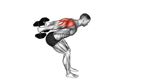 Dumbbell Bent Over Reverse Raise Skier Male Video Guide Tips