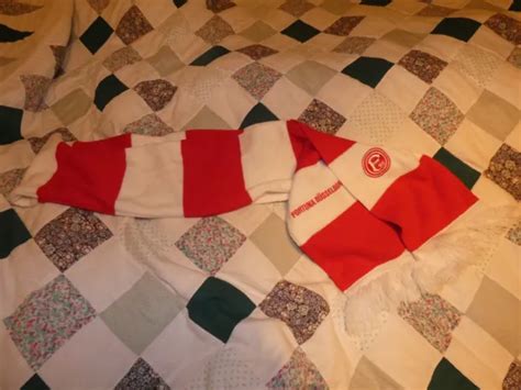 FORTUNA DÜSSELDORF SCHAL Elegant rot weiß gestreift EUR 1 00 PicClick DE