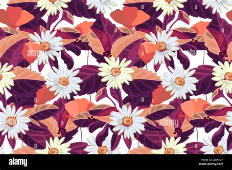 Vector Floral Seamless Pattern Daisies Orange And Burgundy Flowers