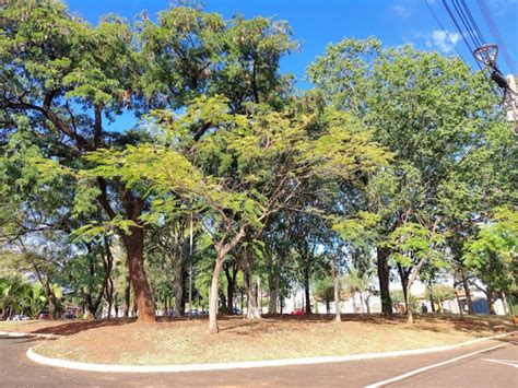 OAB de Araraquara faz Drive Thru Solidário para arrecadar alimentos e