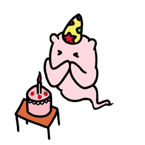 Hbd Birthday Cake Sticker Hbd Birthday Cake Birthday Party Discover