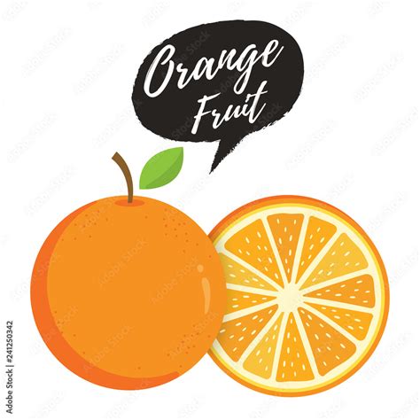 Orange Whole And Slice Of Oranges Vector Illustration Of Oranges