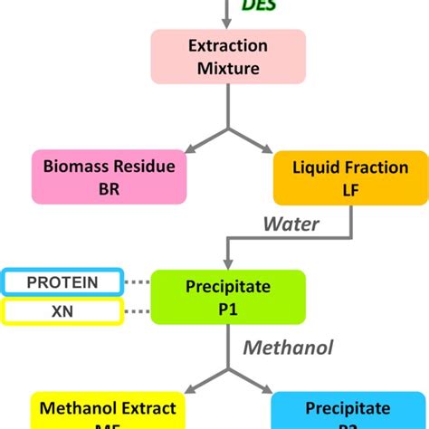 Schematic Representation Of Sh Pretreatment Using Des Download Scientific Diagram