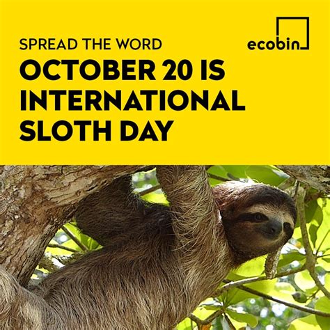 The International Sloth Day History October