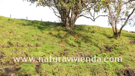 Lote Con Hermosa Vista A La Represa N Naturavivienda