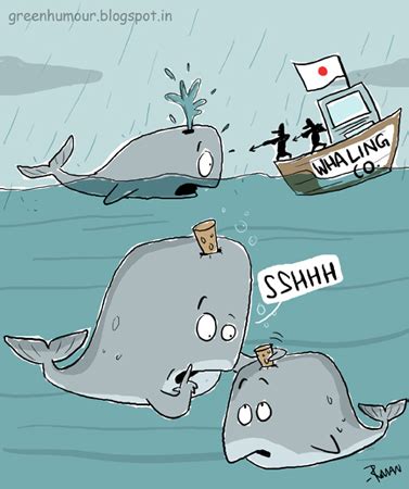 Green Humour: Whaling cartoons