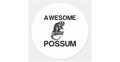 Awesome Possum Classic Round Sticker Zazzle