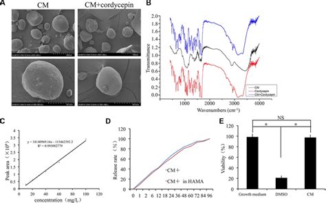 Preparation And Characterization Of Chitosan Microspheres A Scanning