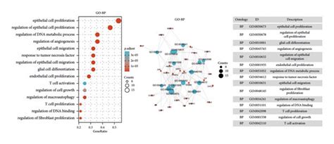 The Results Of Go Enrichment Analysis Go Gene Ontology Bp Download Scientific Diagram