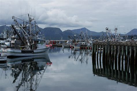 Sand Point Alaska Harbor Photograph by Robert Braley