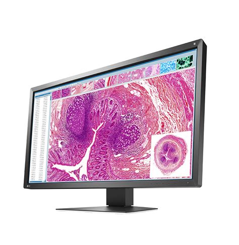 RadiForce MX317W EIZO