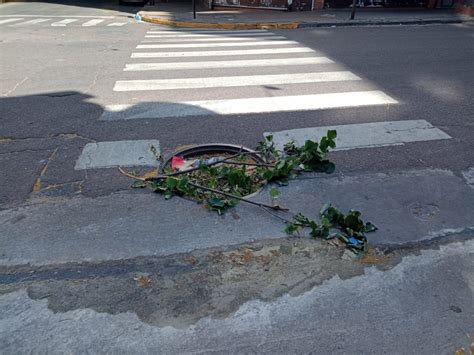 Vecinos Taparon Un Pozo Con Ramas Para Evitar Accidentes