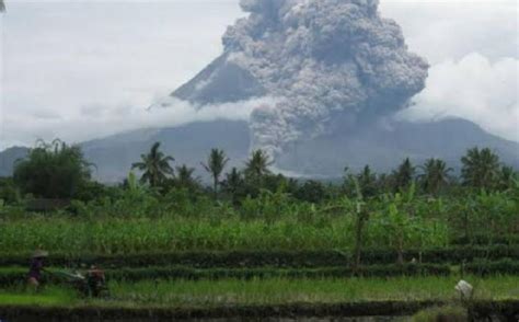 Wisata Alam Di Lereng Merapi Yang Asri Sejuk Dan Segar Dipandang