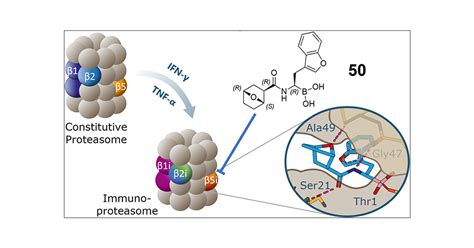 Structure Based Optimization And Discovery Of M A Specific