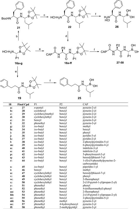 General Synthesis Of Boronic Acids To Reagents And Conditions