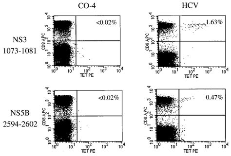 Tetramer Staining Of HCV Specific CD8 T Cells The Two Graphs On The