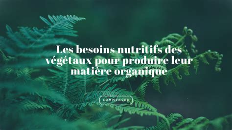 Besoins Des Végétaux
