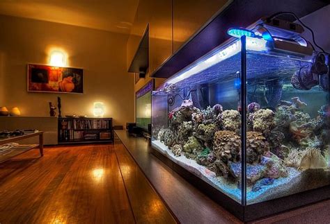 Reef Aquariums For Your Inspiration Reef Aquarium Aquarium Aquarium