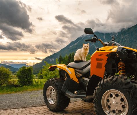 Wie Teuer Ist Eine Versicherung F R Ein Quad Mini Job