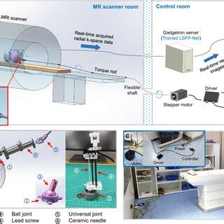 Real-time MRI-guided brain intervention system a The MR-compatible ...