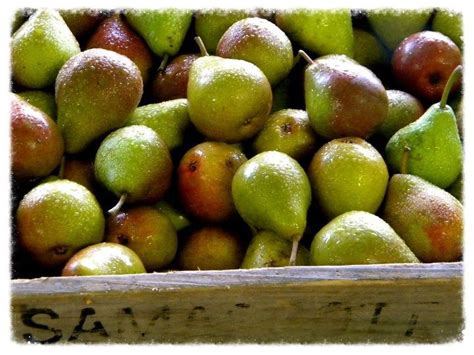 Samascott Orchards Spreads Across 1000 Acres In Kinderhook Ny We Grow