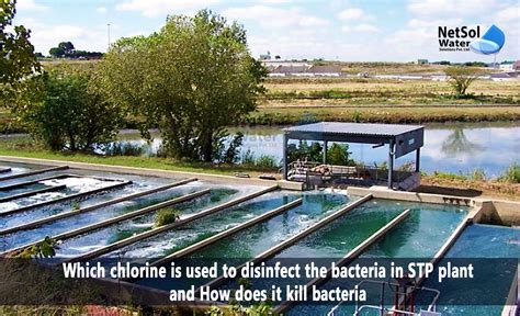 Types Of Chlorine Used To Disinfect Bacteria In Stp Plant