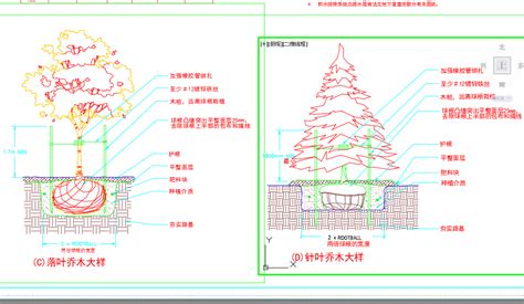 新古典居住区景观植物种植施工图纸免费下载 园林绿化及施工 土木工程网