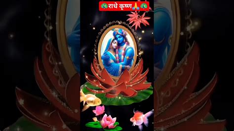 राधे राधे 🌹🌹jaishreekrishna Radheradhe Radhakrishnalove Youtube