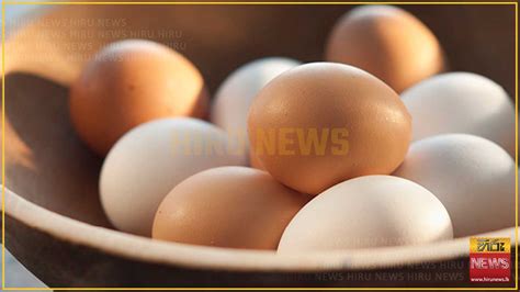 Price Of Eggs Drops By 10 Rupees Says All Ceylon Egg Trade Association